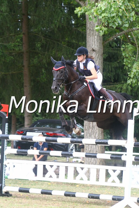 308M4830_Punkte Mxx.JPG